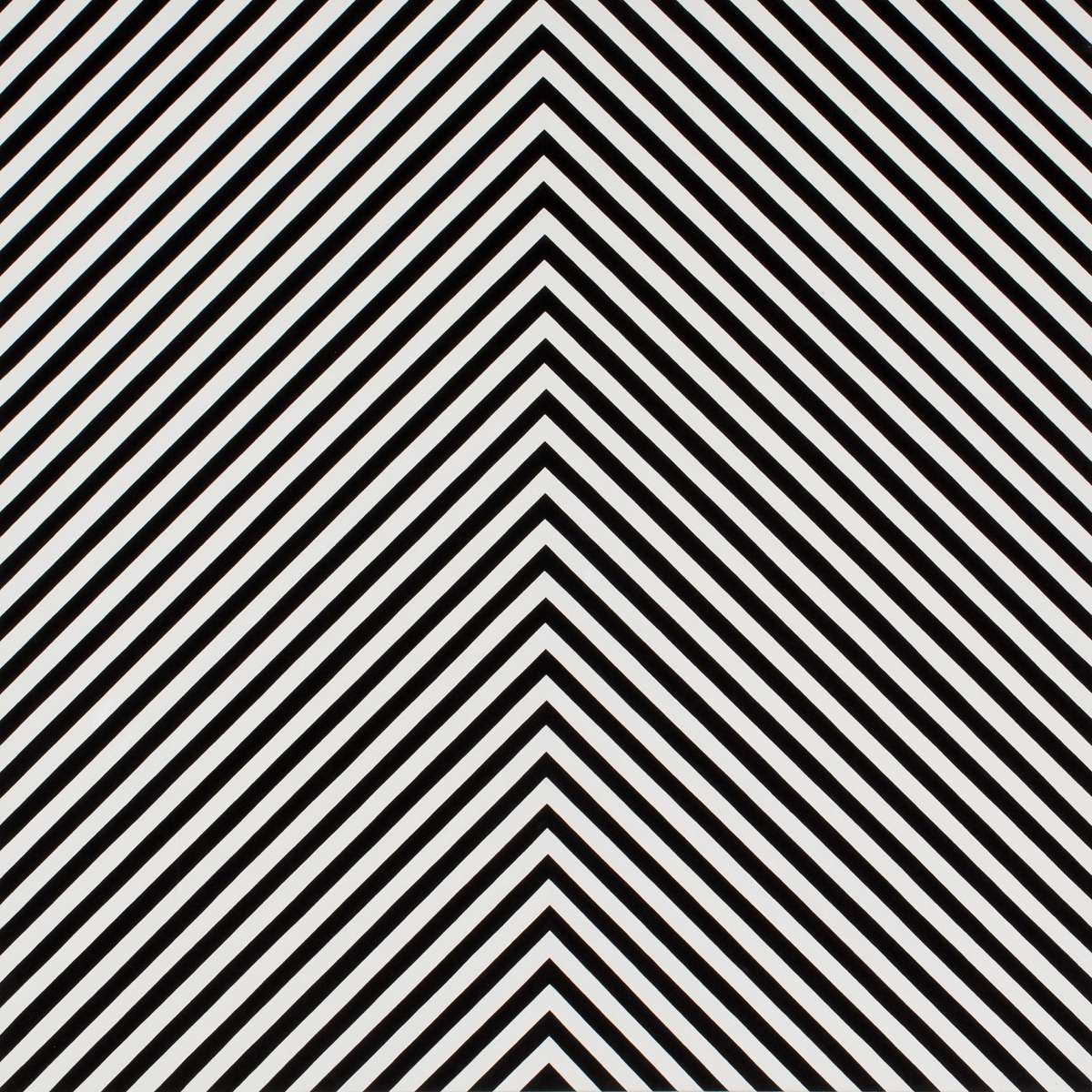 Mountain Stripe 90-1 B&W, 2009