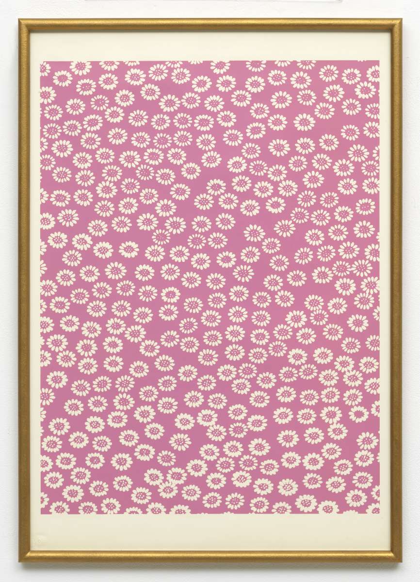 Margrieten (roze), 1973