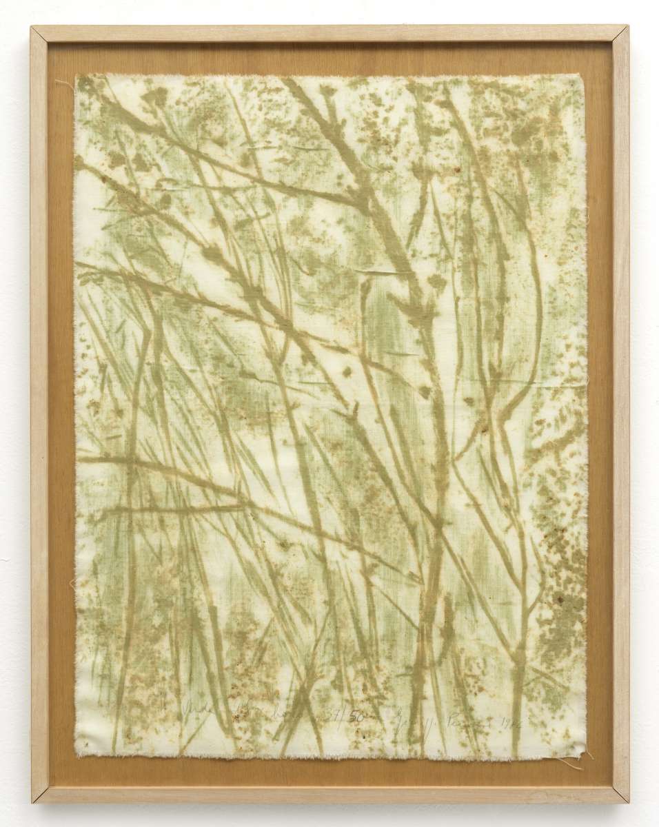 Giuseppe Penone, Il Verde Del Bosco, 1984