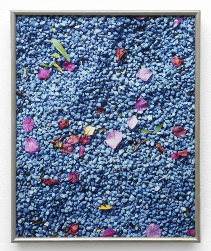 Daan van Golden, Agua Azul (Hortus Botanicus), 1987 - 2000