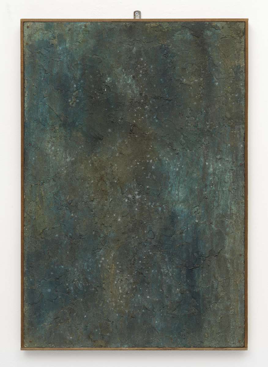 Groene schimmel, 1966