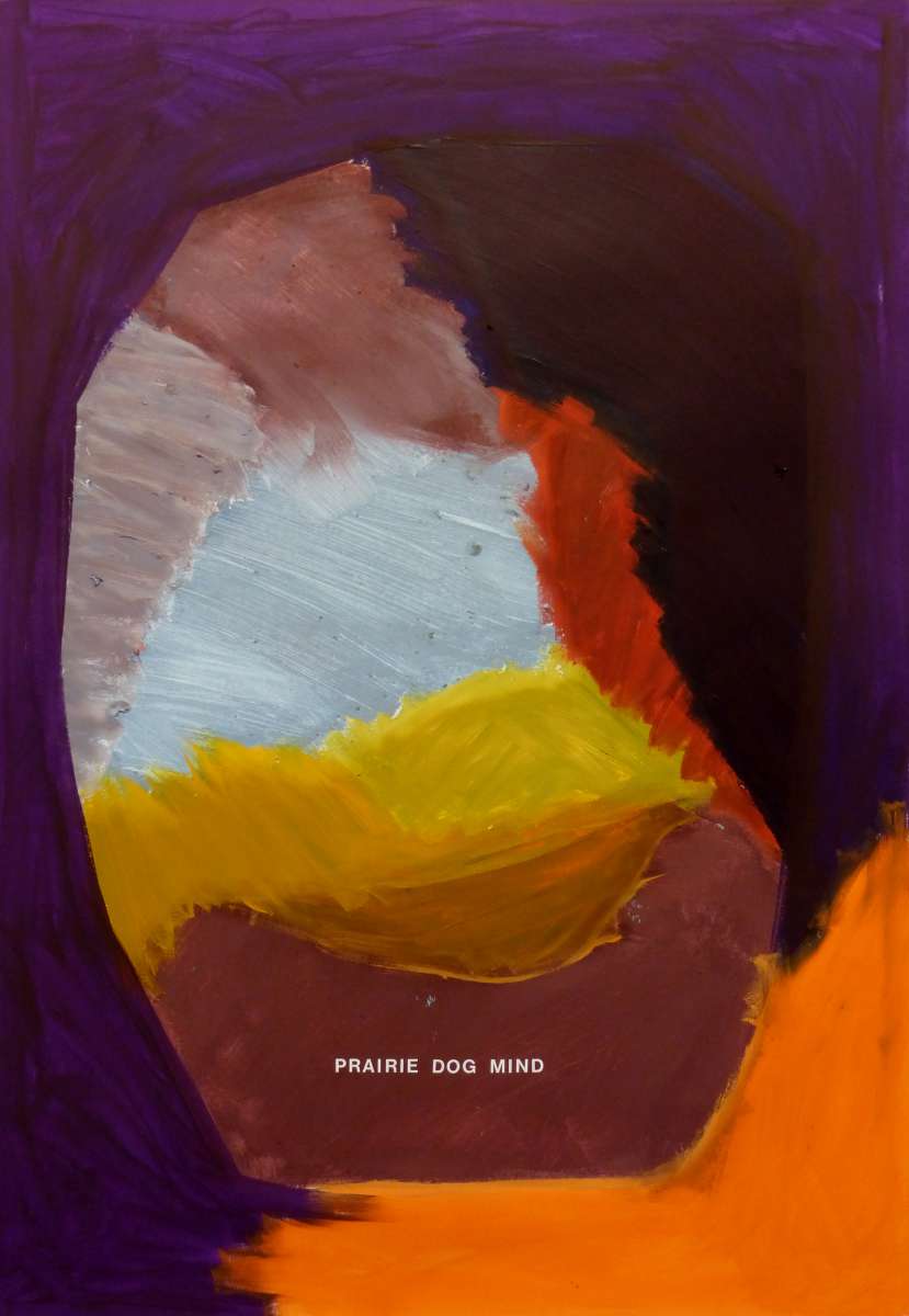 Prairie dog mind, 2017
