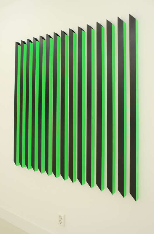 Rana Begum, #185 (green and black), 2009