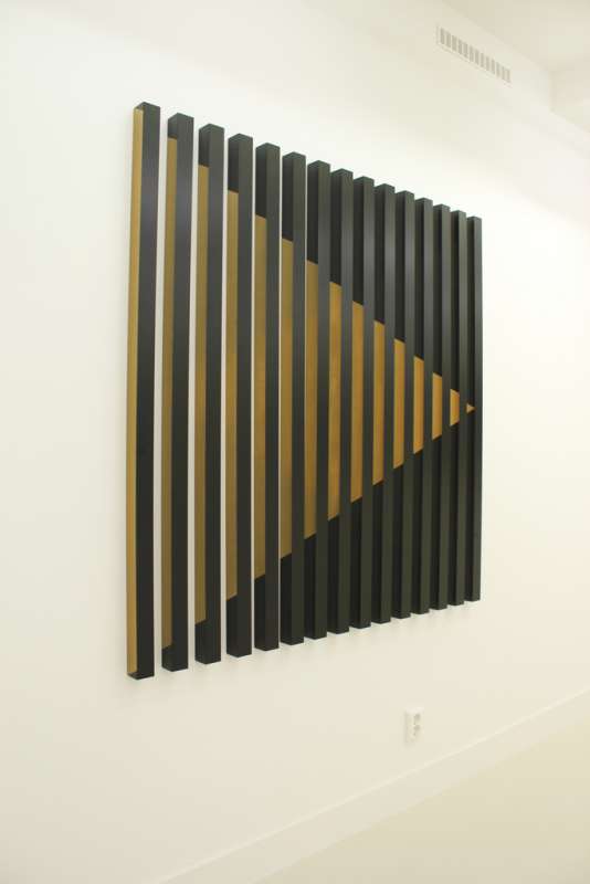 Rana Begum, #189 (black with golden arrow), 2009